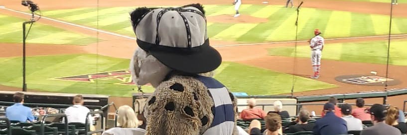 Anthony 🔰 土着 banner