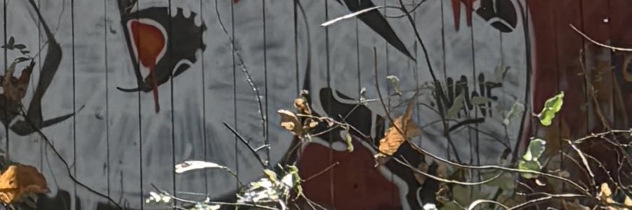 la_pipa_'s profile banner image