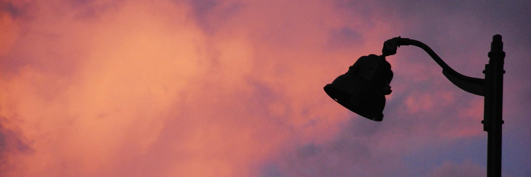 ceren saran 🌱🌈 banner