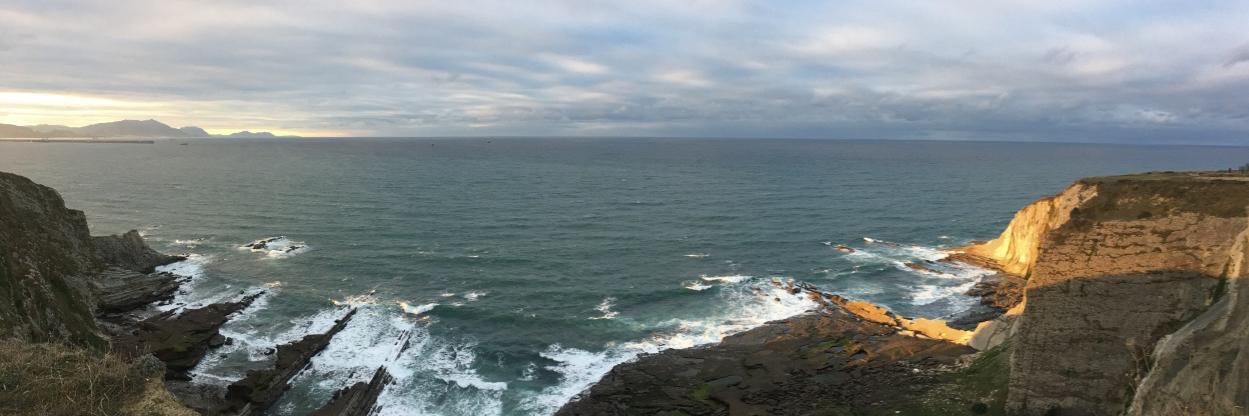 Maia G. Vergniory banner