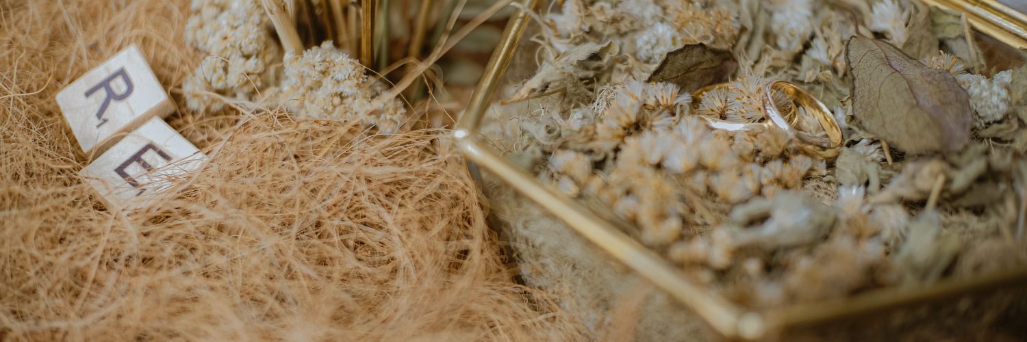 evi kartika 🌻 banner