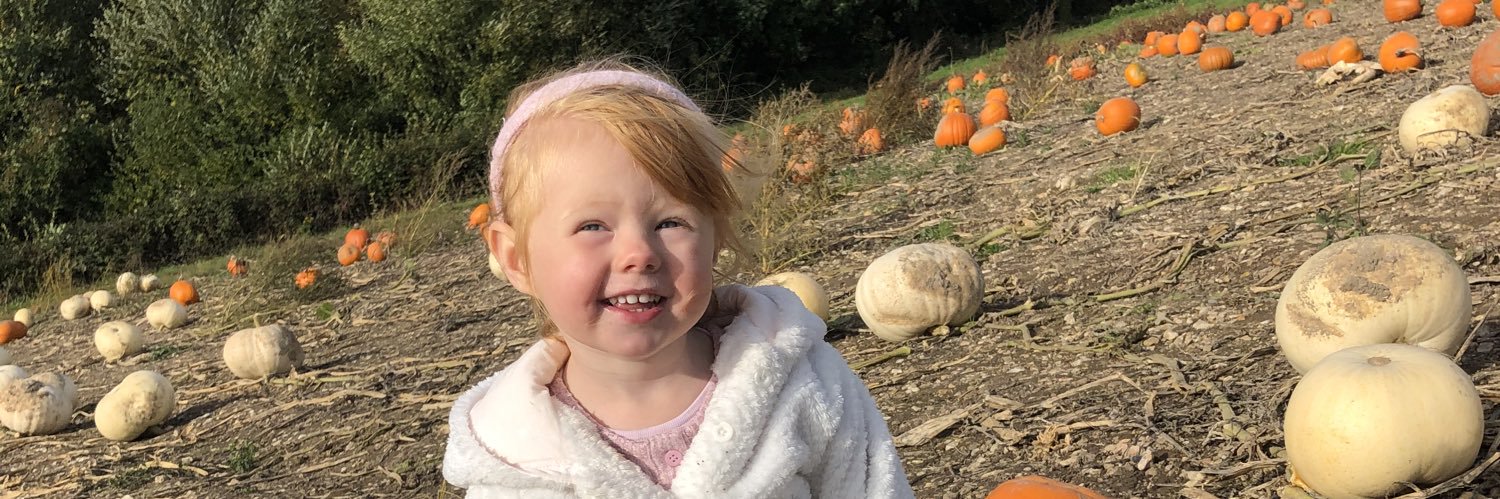 AshleeStevens's profile banner image