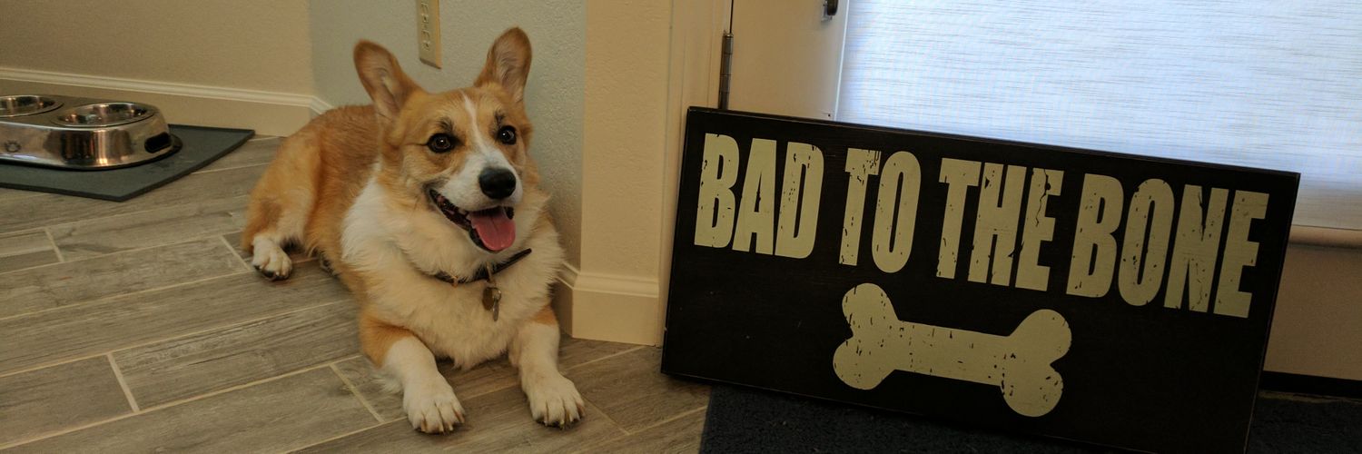 rhinothecorgi's profile banner image
