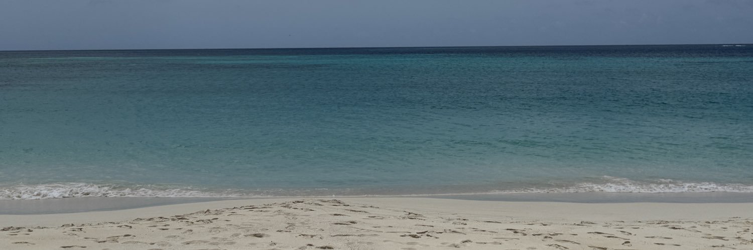 Duaeno's profile banner image