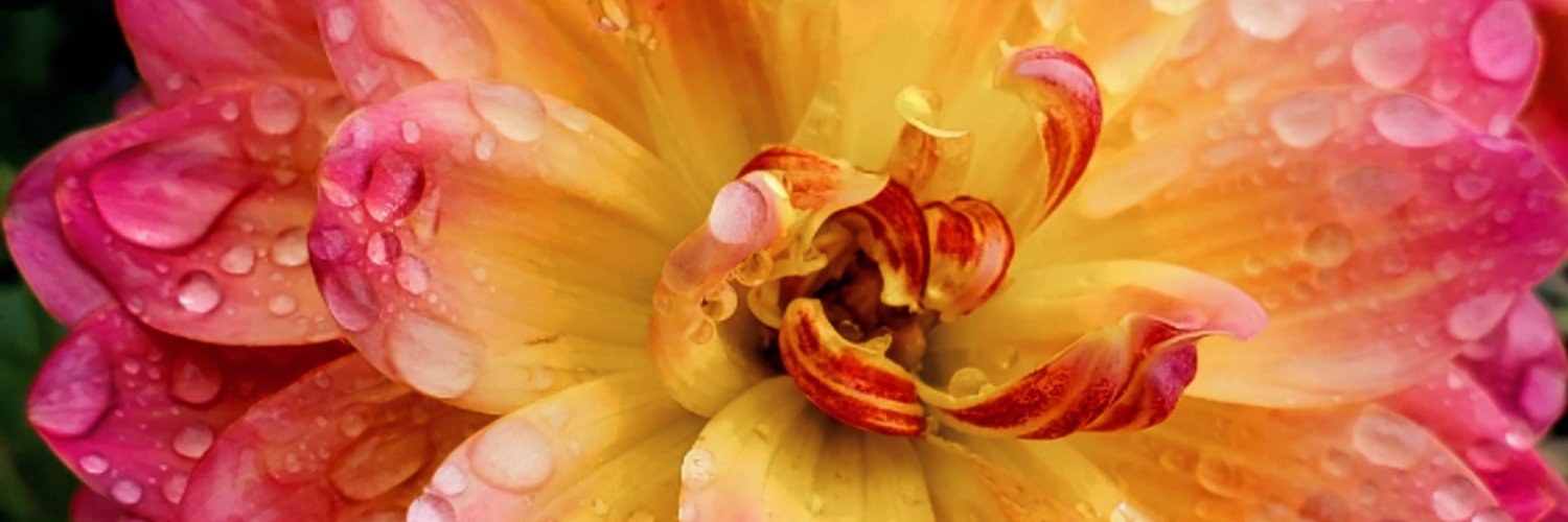 KatEsenwine's profile banner image