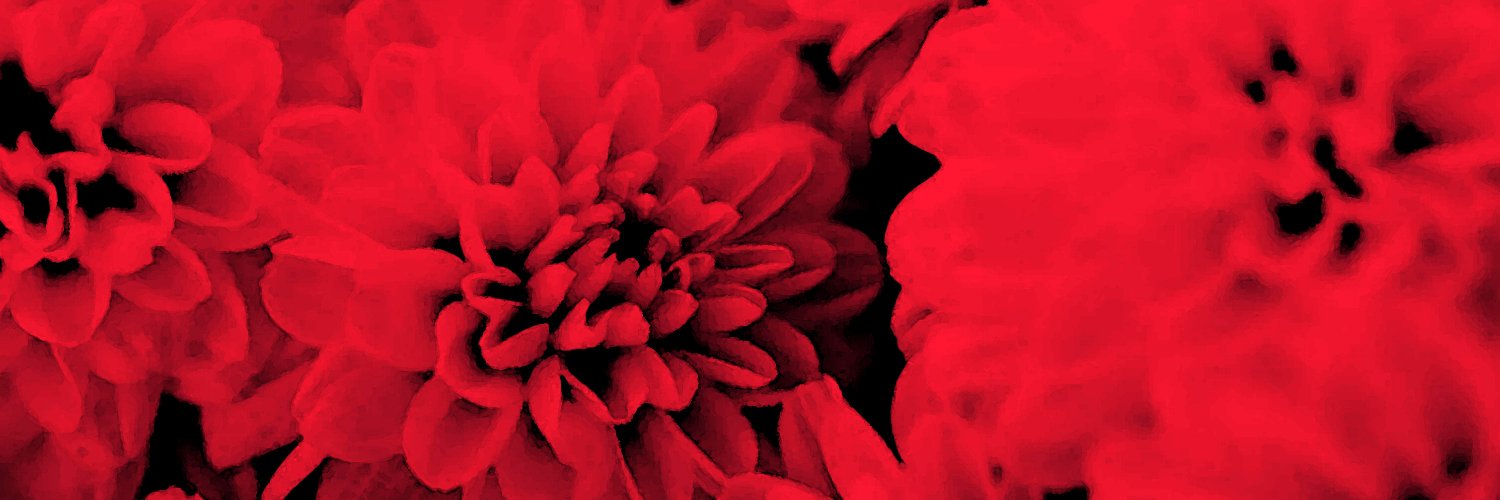 beat_road's profile banner image