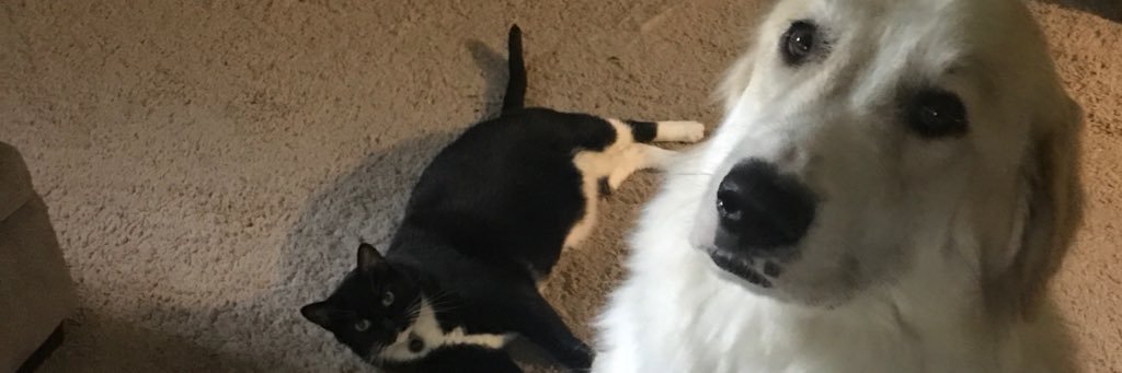 fultzkm's profile banner image