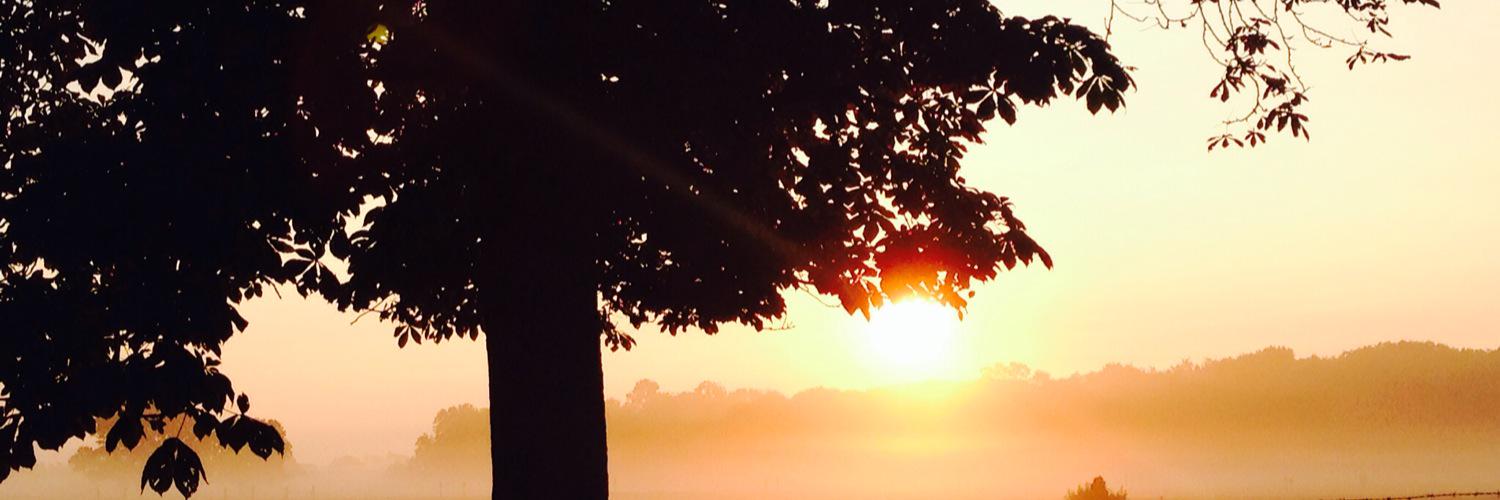 CarysW91's profile banner image