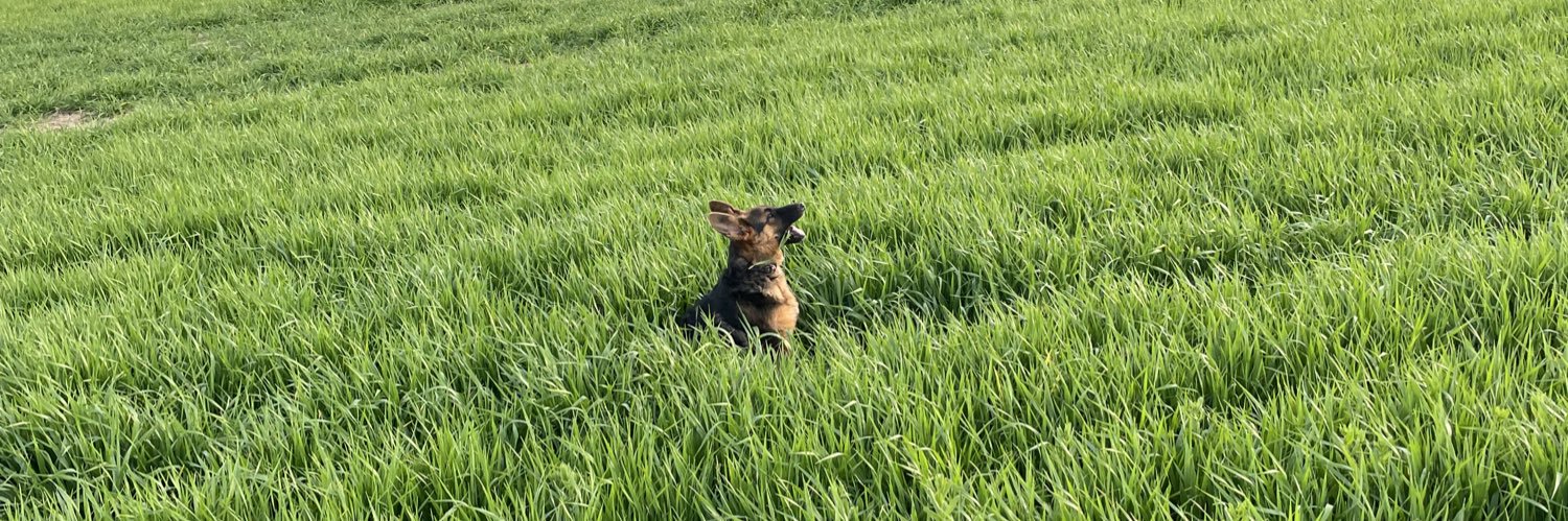 Maite M. Lafraya banner