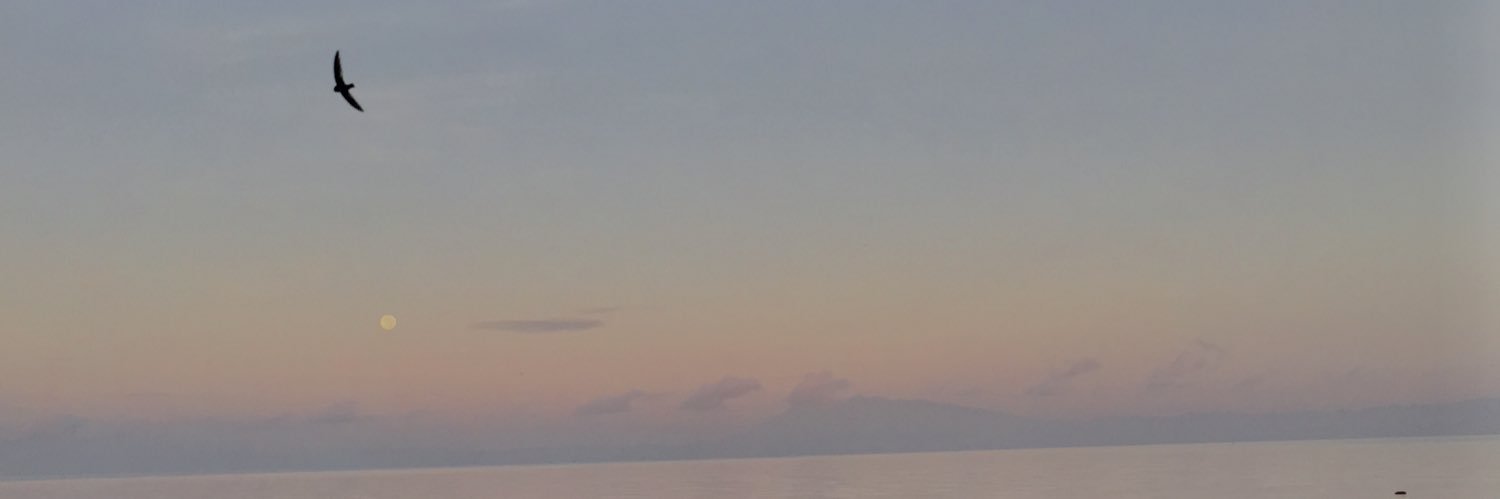 chzzcke's profile banner image