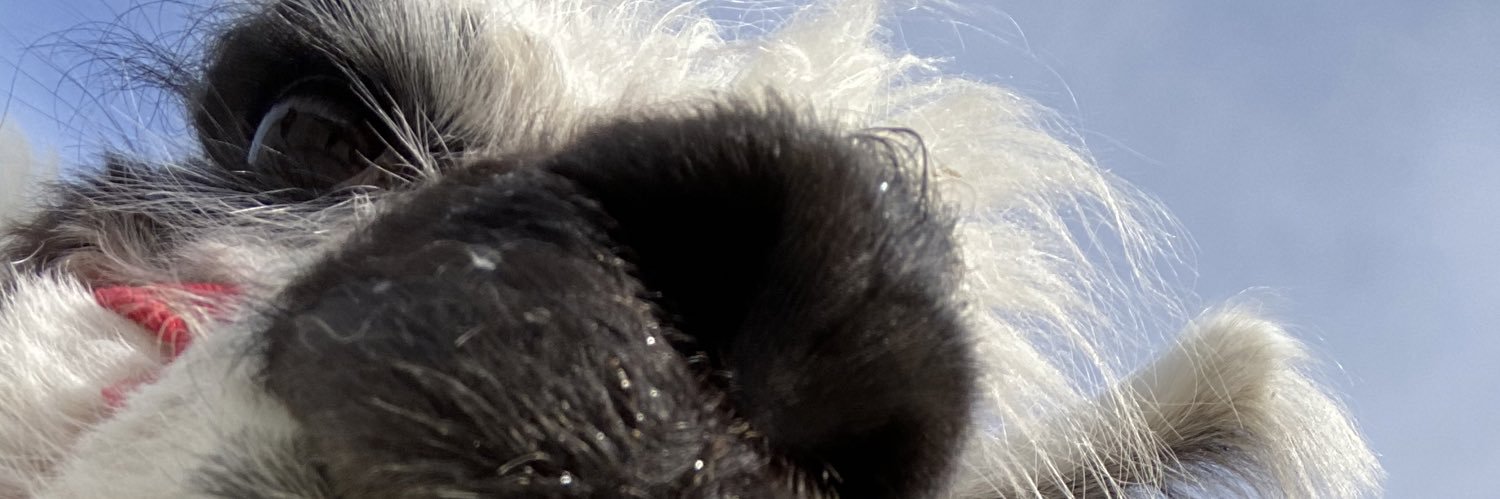 derstewu's profile banner image