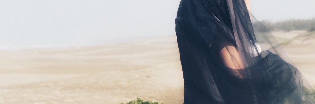 DreamSwitchHoli's profile banner image