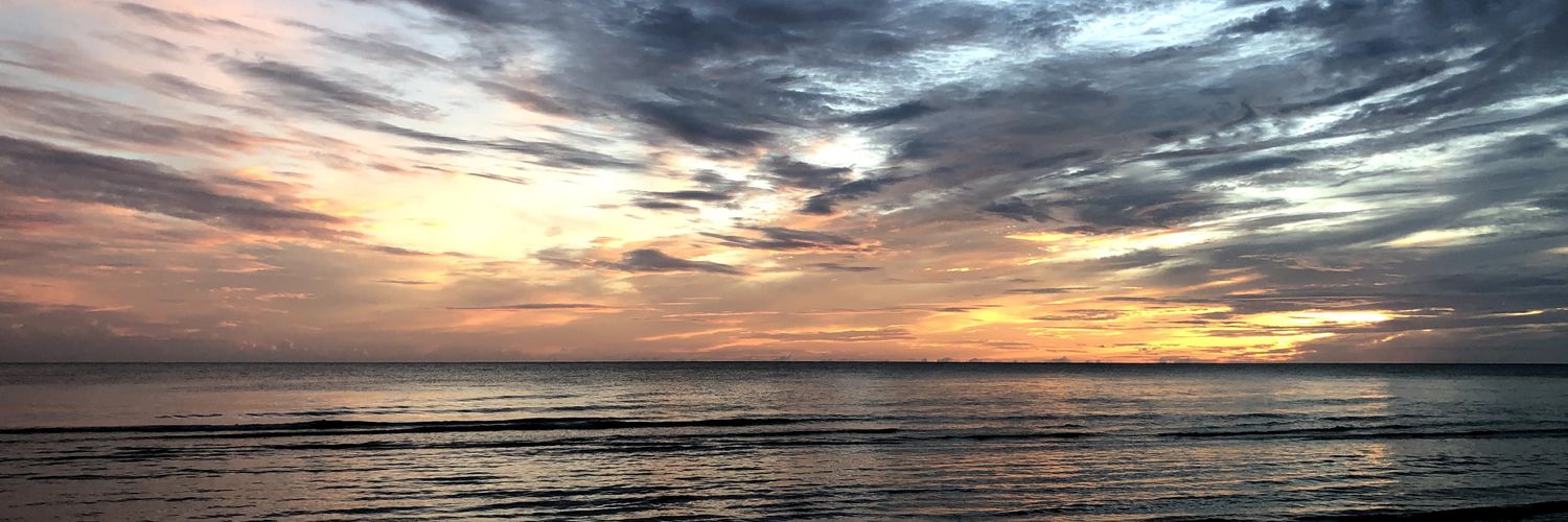 LRGulfCoast's profile banner image