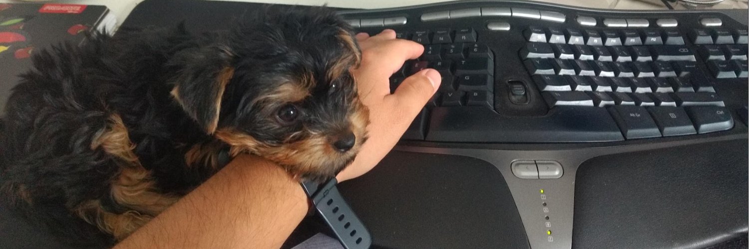 Hugo_Pipin's profile banner image