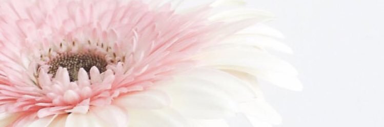 b_amoola's profile banner image