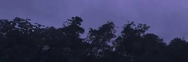 xcoolintss banner