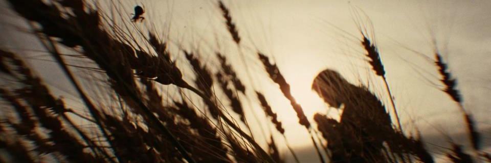 AParrines3D's profile banner image