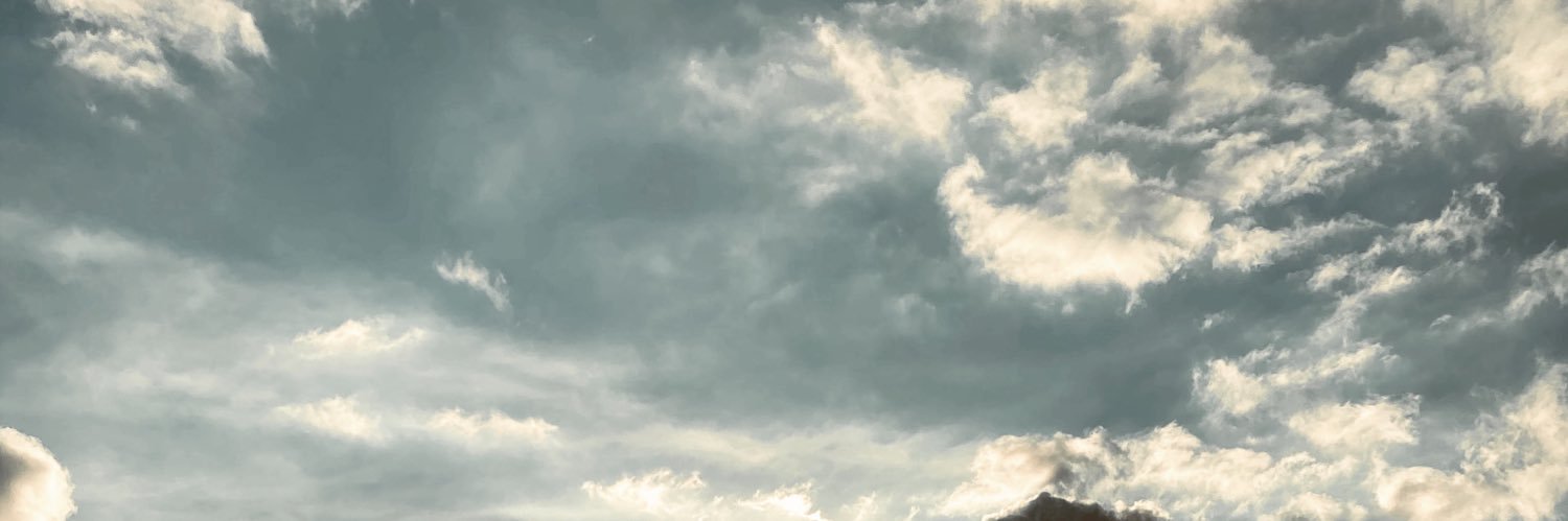 Meggaraa_'s profile banner image