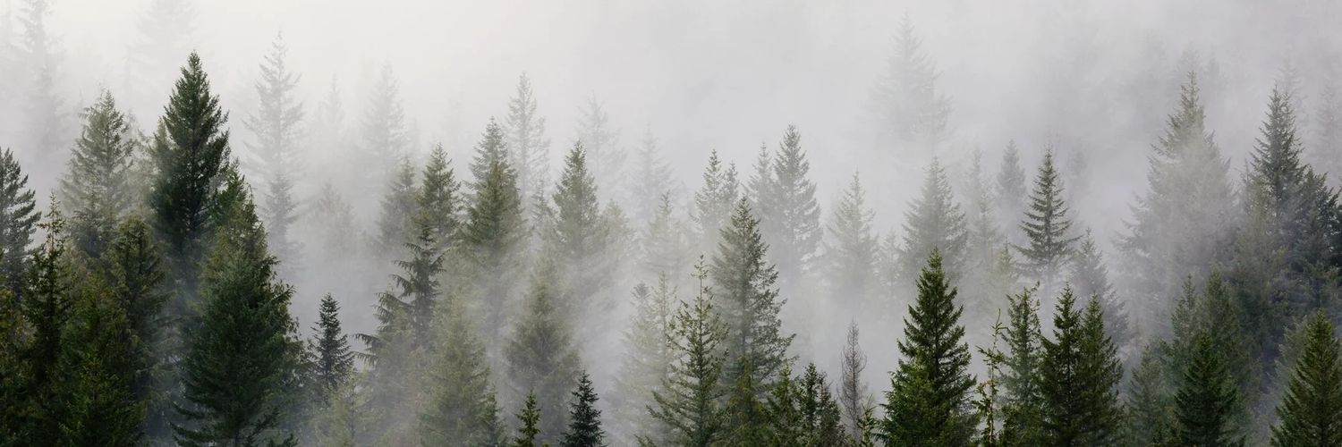 mbohapypora's profile banner image