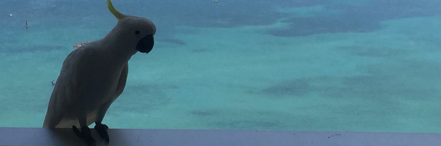 Debbie Kaur banner