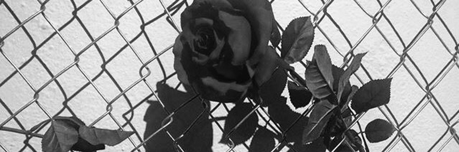 hashtag__basic's profile banner image
