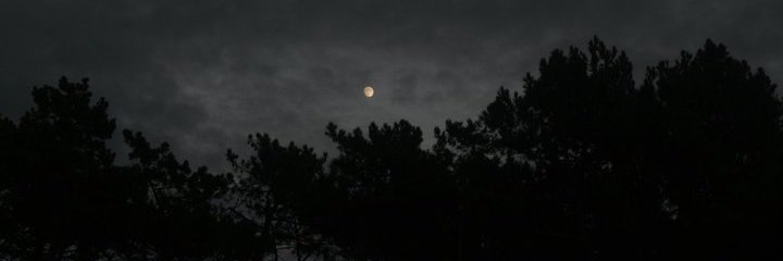 mene black ༺♡༻ banner