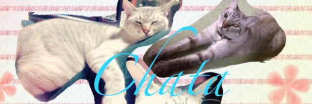 emi_chata's profile banner image