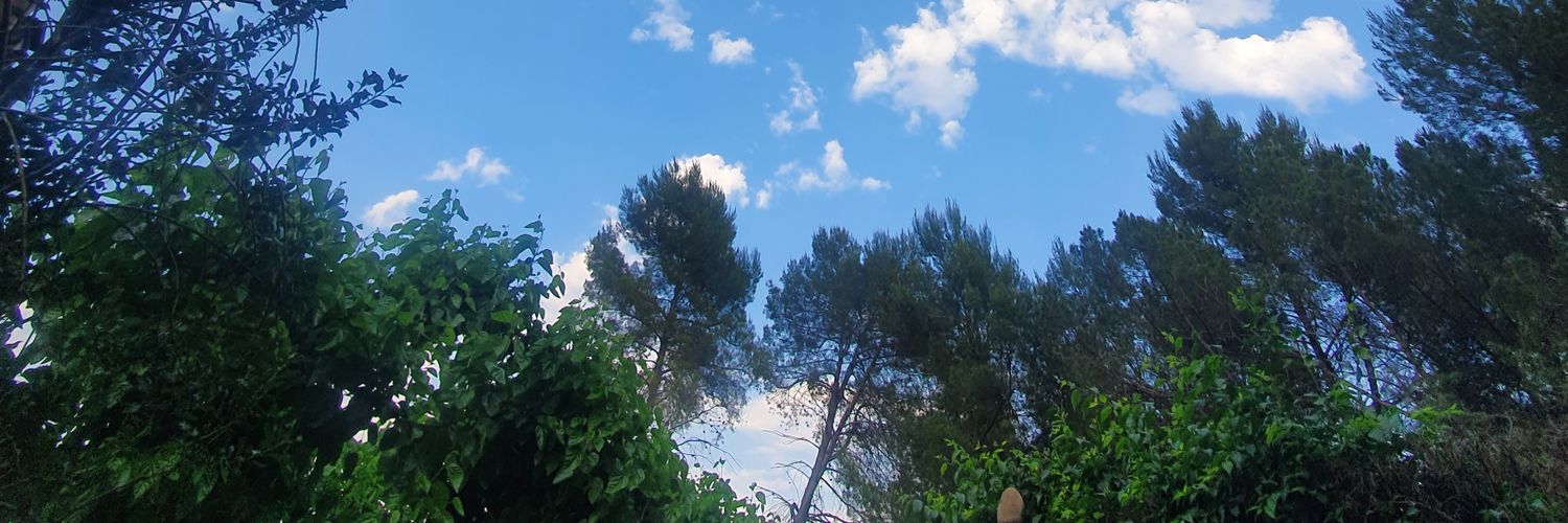 TheSamava's profile banner image