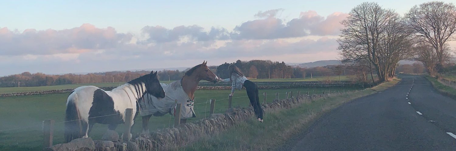 AbbieKelly29's profile banner image