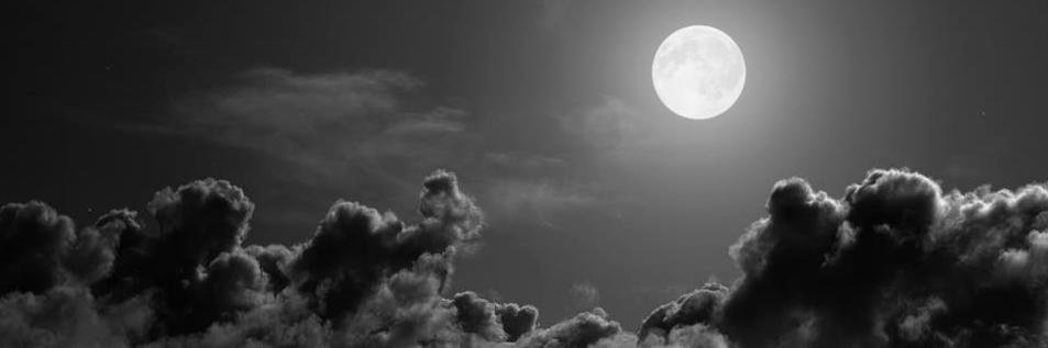 yourdreamreport's profile banner image