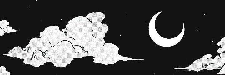 corafriox's profile banner image