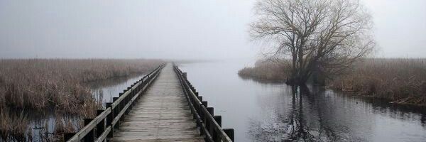amydevitt's profile banner image