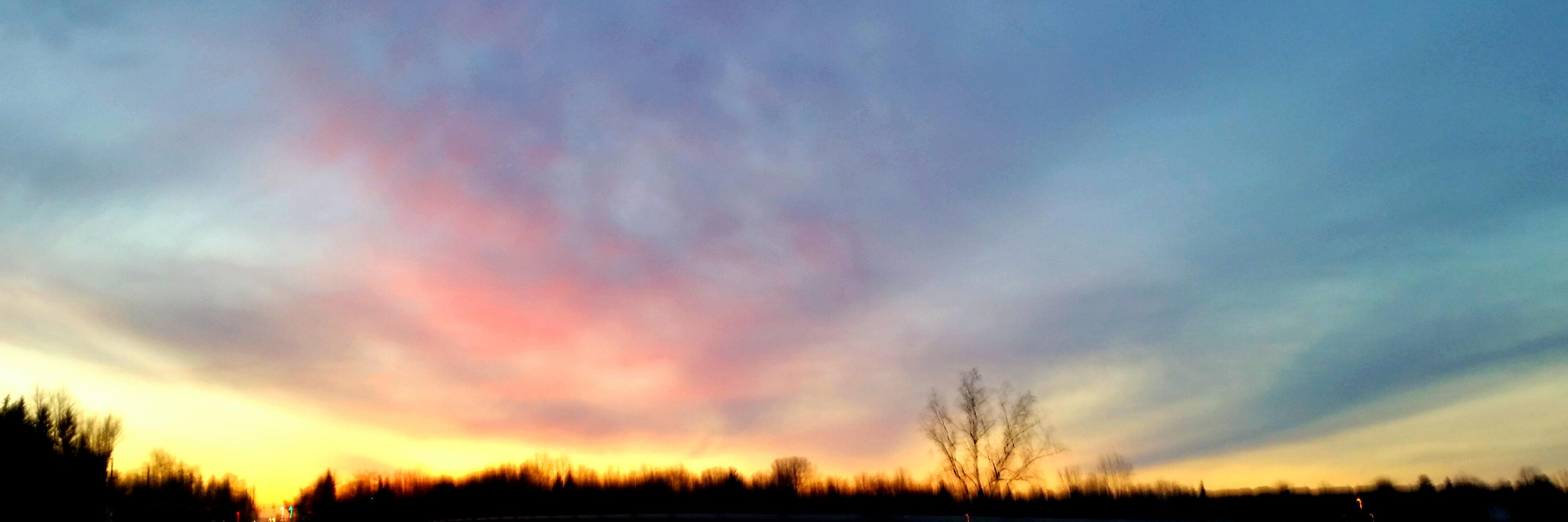 discgolfd11's profile banner image