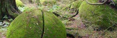 gertgomme's profile banner image