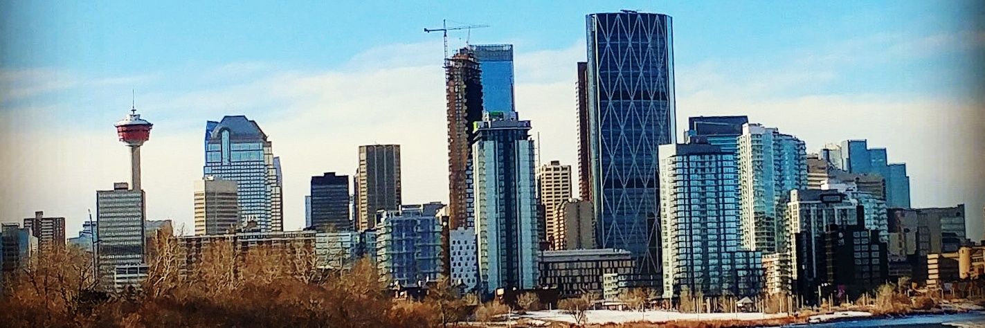 cdn_panda403's profile banner image