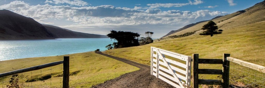 NZInDepth's profile banner image