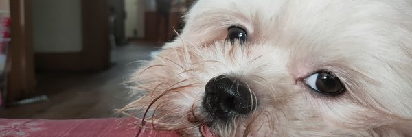 kenttouchths Profile Banner