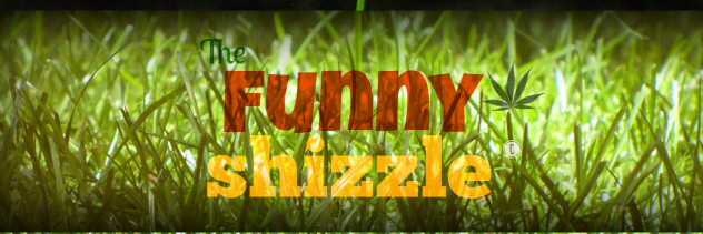TheFunnyShizzle's profile banner image