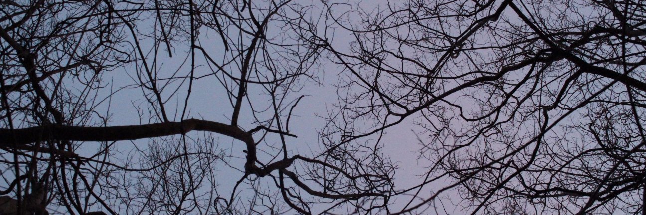JaylanHKing's profile banner image