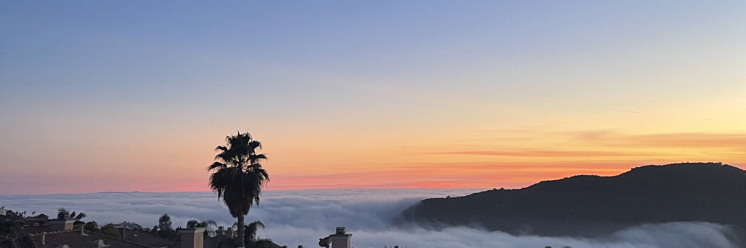 Mónica Fonseca banner