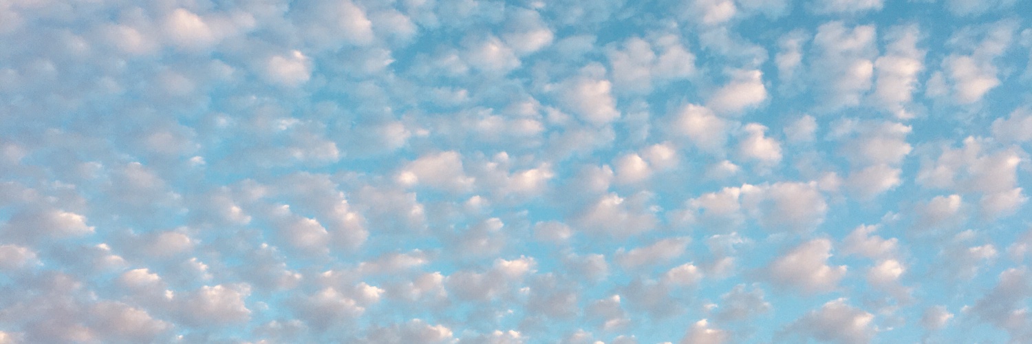 hayashmaitilly's profile banner image