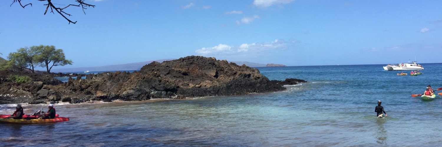 edinaklein's profile banner image