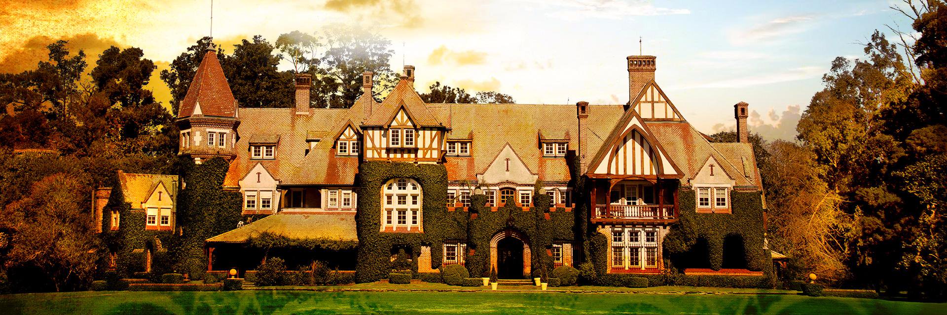 #RicosNoPidenPermiso banner