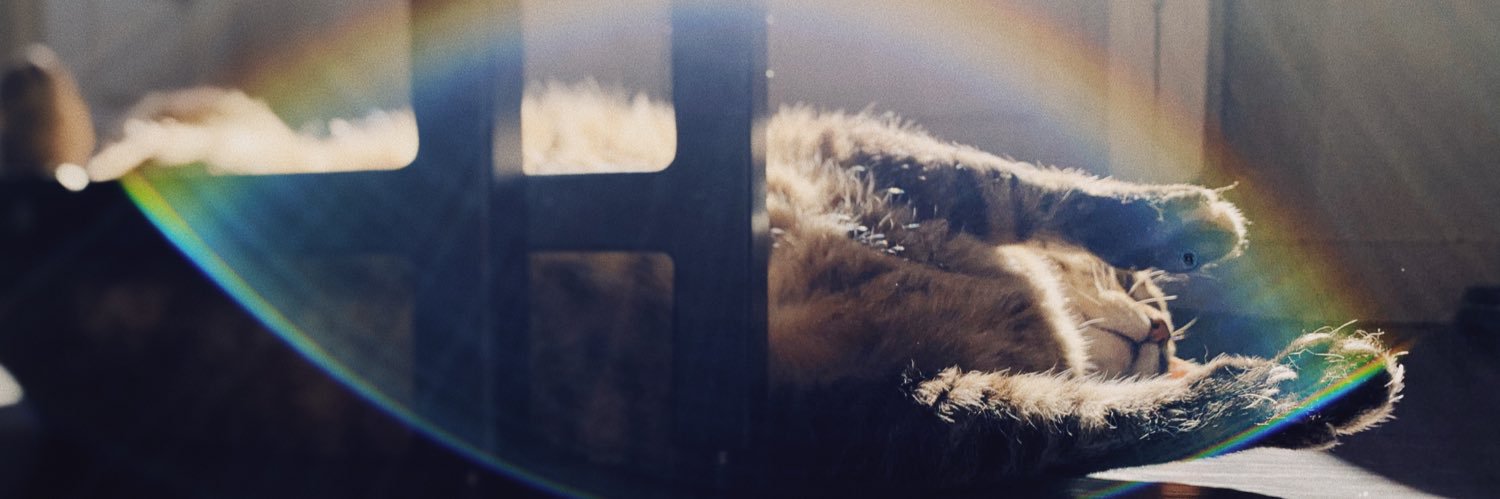 miriamaupe's profile banner image