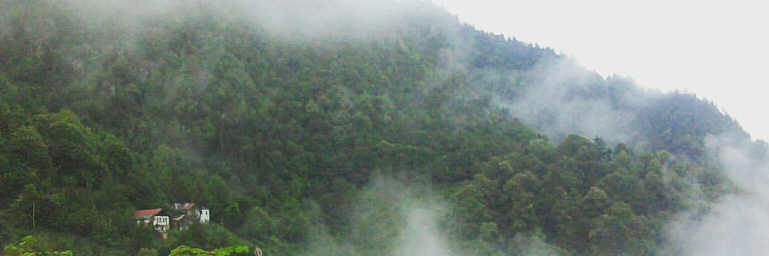 Ts61Cam's profile banner image