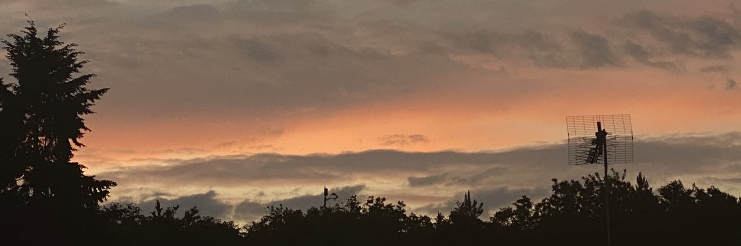 whoisliltat's profile banner image