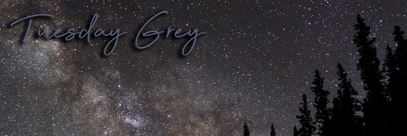 TuesdayGrey's profile banner image