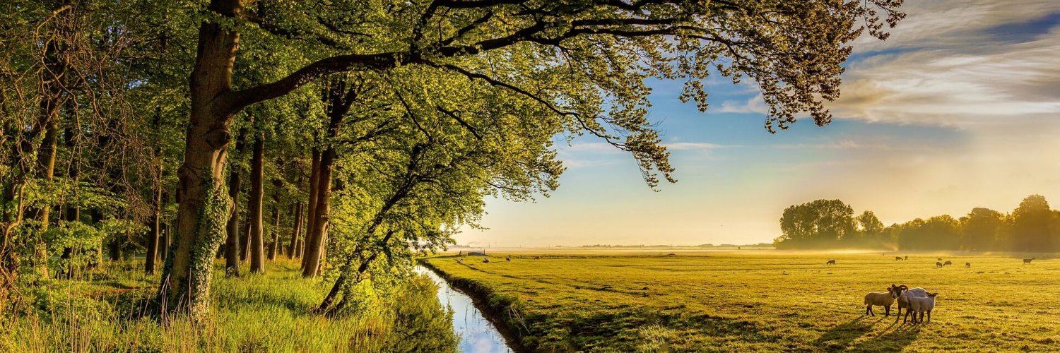 Ronsweer's profile banner image