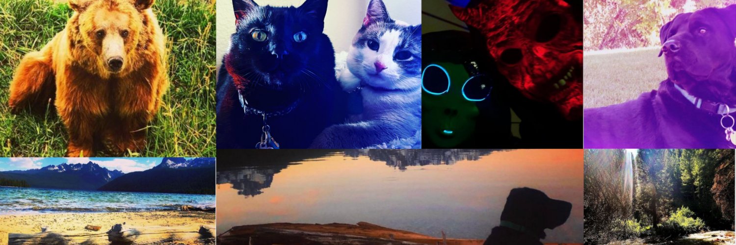 TheAlienOrca's profile banner image