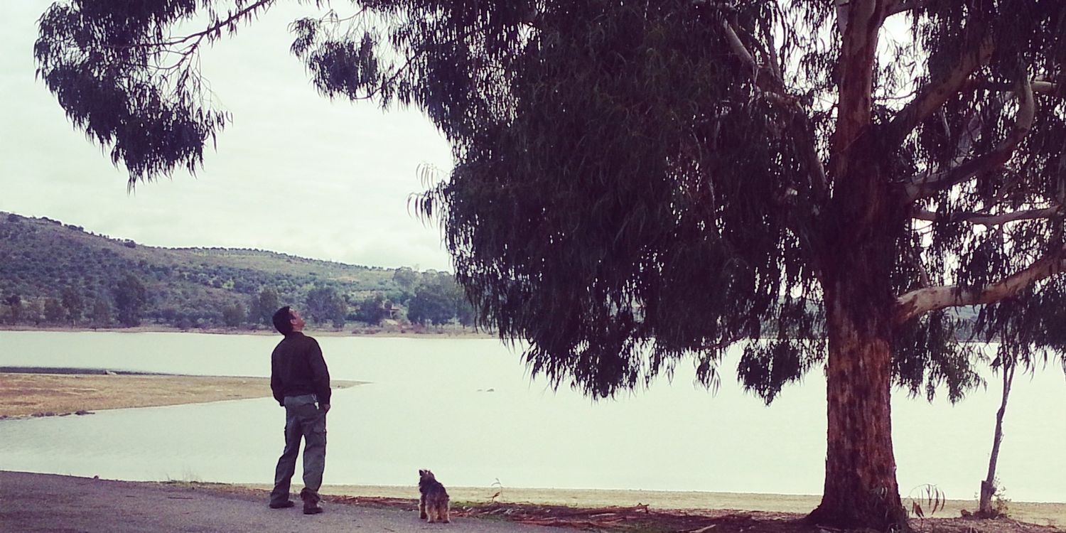 Eva Centen | ETHGas ⛽ banner